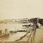 Lower Marine Terrace  [Albumin Print]